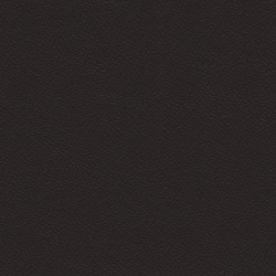 Läder Brun [+ 3 170 kr]