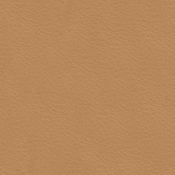 Läder Cognac [+ 3 170 kr]