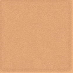 Läder sahara [+ 2 200 kr]