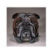 Bild på Bulldog ljus grå/brun