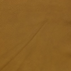 Bolzano Mustard [+ 4 490 kr]