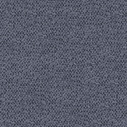 Taffie Denim