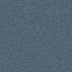 Fenice Denim