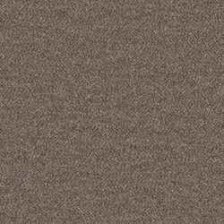 Barnum Dark Taupe