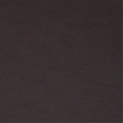 Anilux 485 Dark Brown