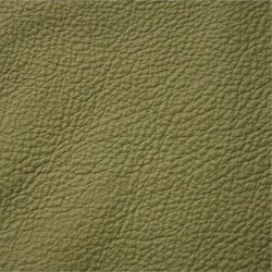 Semi 386 Olive