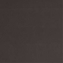 Soleda 442 Dark Brown