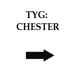 Tyg Chester