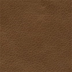 Läder: Vintage Cognac