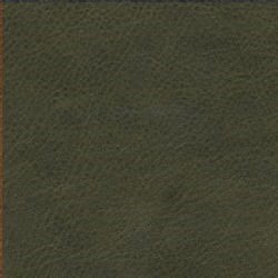Läder: Vintage Green