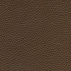 Läder: Classic brun 03