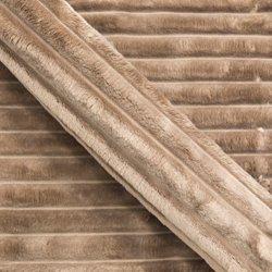 ANGEL-11337-08-Scuria