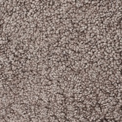 Fårskinn Sahara