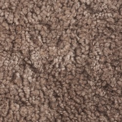 Sahara