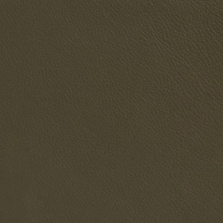 Läder 547 dusty green