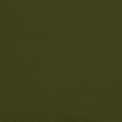 Läder 520 green